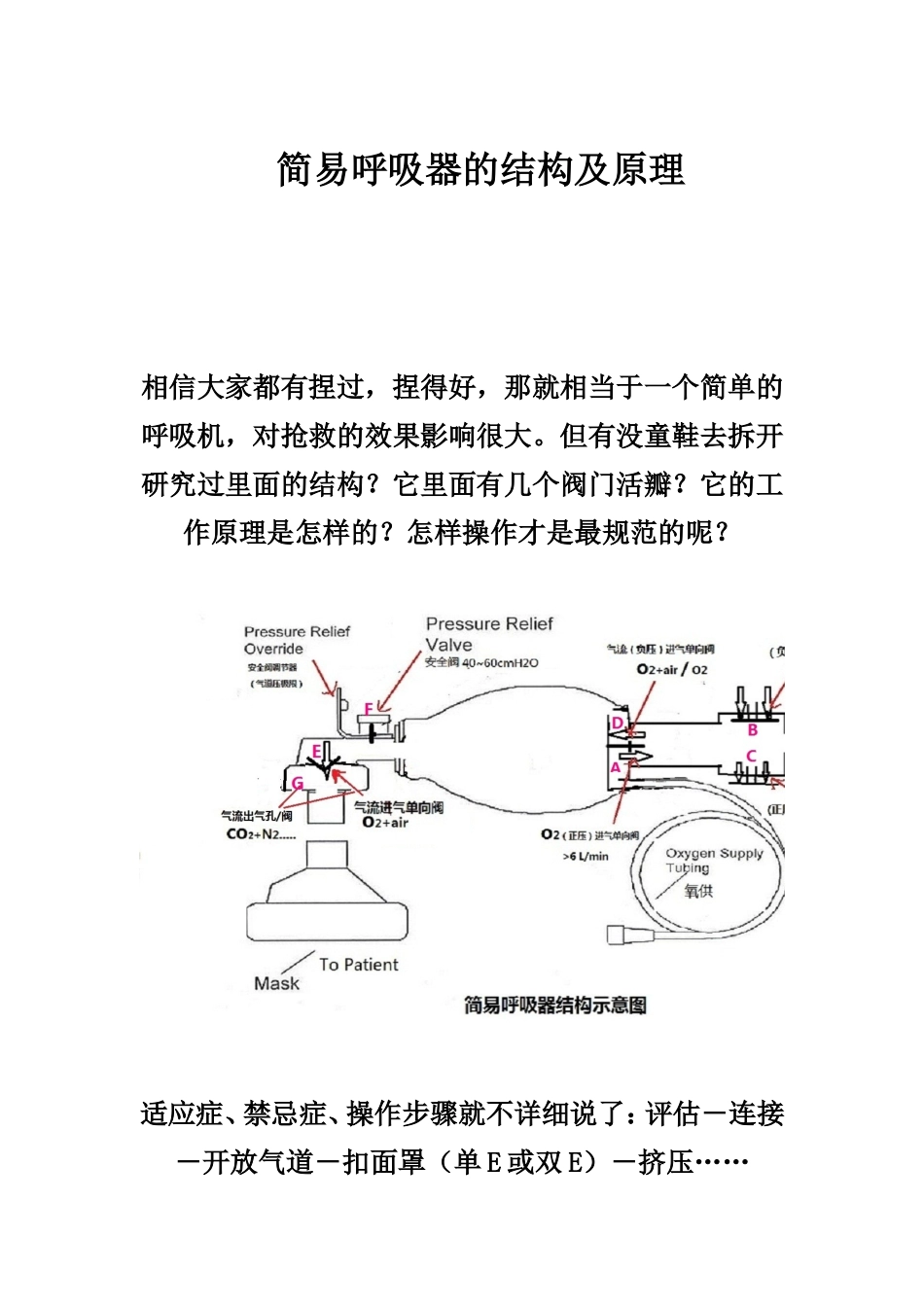 简易呼吸器的结构及原理_第1页