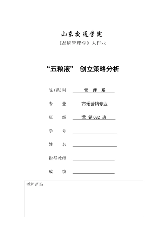 五粮液创立策略分析