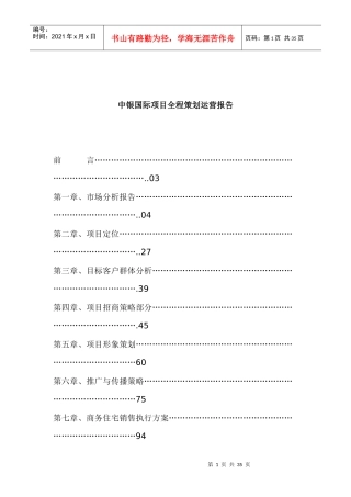 中银国际项目全程策划运营报告
