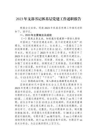 2023年支部书记抓基层党建工作述职报告