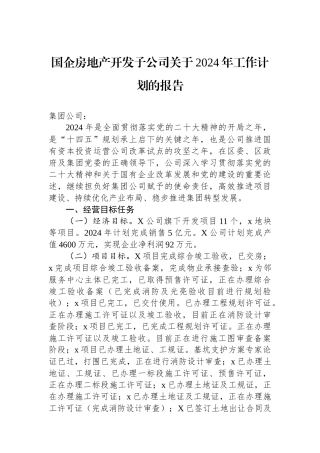 国企房地产开发子公司关于2024年工作计划的报告
