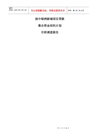 中泰·扬中绿洲新城项目可研1010