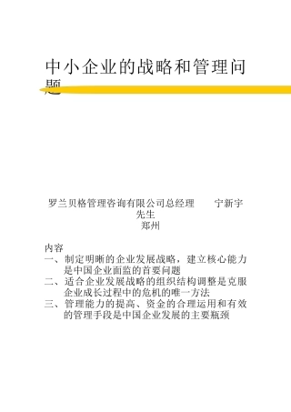 中小企业的战略管理相关问题