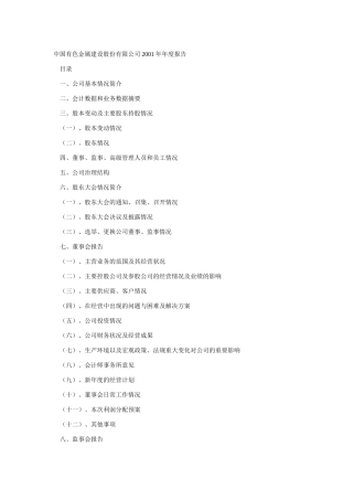 中国某有色金属公司年度报告