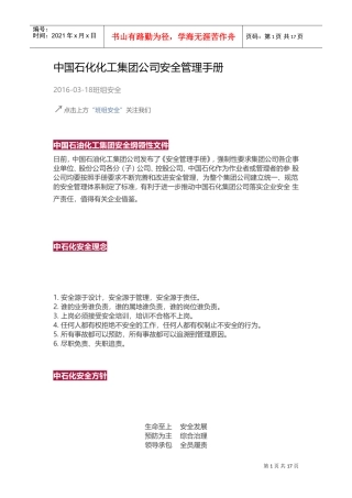 中国石化化工集团公司安全管理手册(DOC30页)