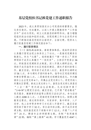 基层党组织书记抓党建工作述职报告