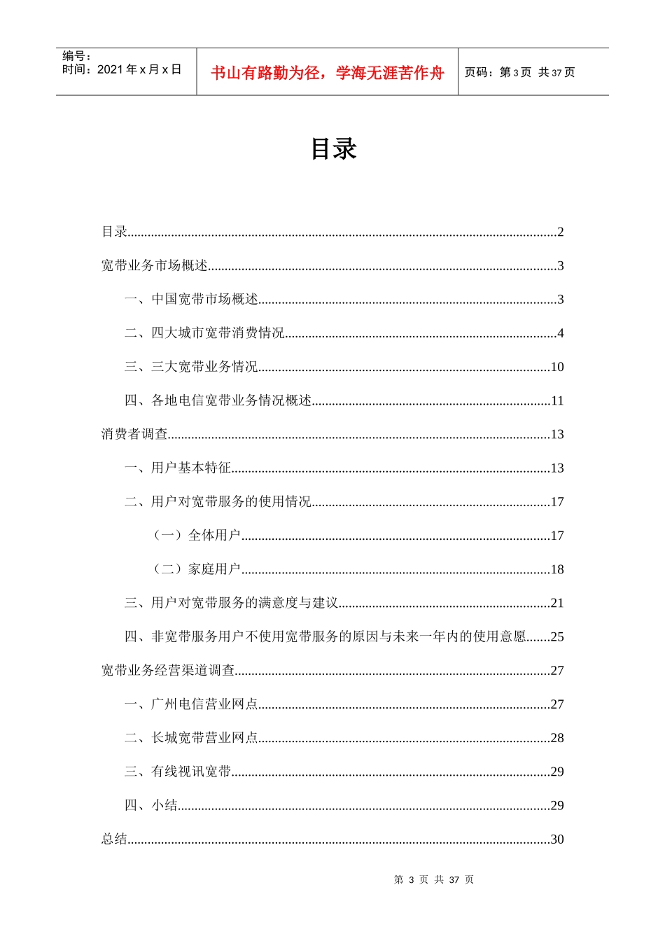 中国宽带业务调查报告(doc 30页)_第3页