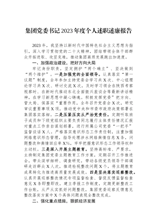 集团党委书记2023年度个人述职述廉报告