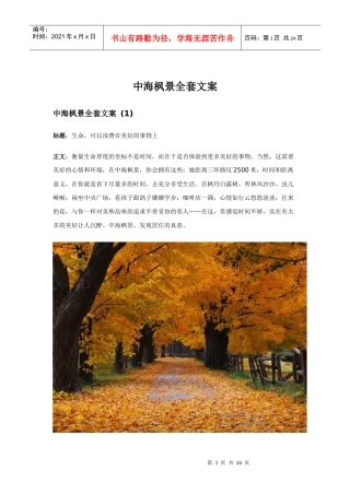 中海枫景全套文案策划