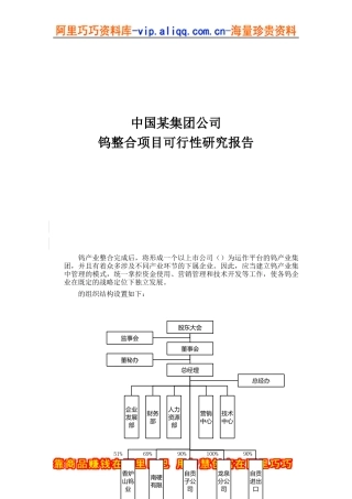 中国某集团公司钨整合项目可行性研究报告