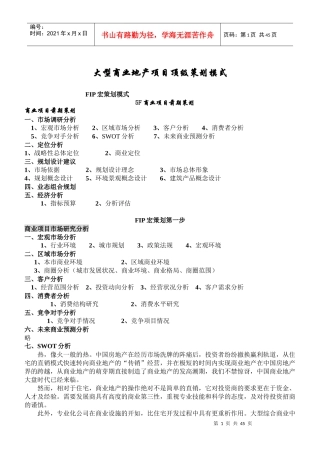 (绝对经典)大型商业地产项目策划模式