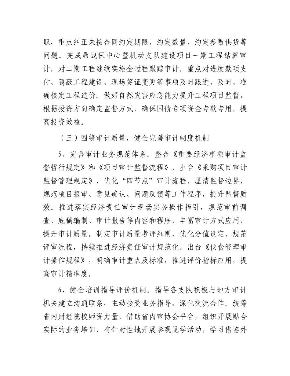 2024年度审计工作实施方案_第3页