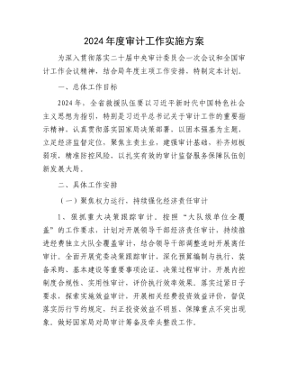 2024年度审计工作实施方案