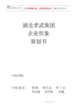 (蒋翔)孝武集团cis策划