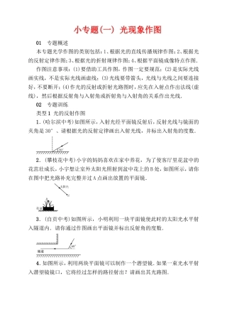 小专题 光现象作图测试题
