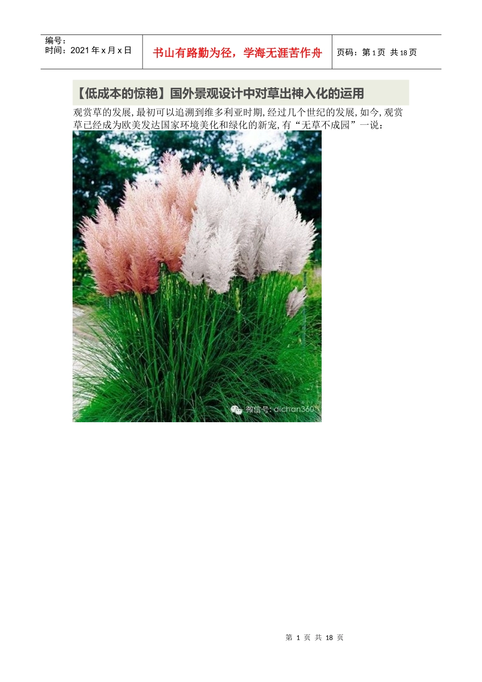 (低成本的惊艳国外景观设计中对草出神入化的运用_第1页