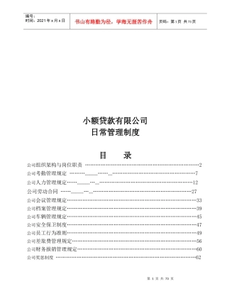 (最新)小额贷款有限公司日常管理制度