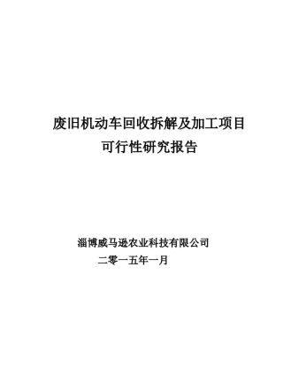 (威马逊公司)废旧机动车回收拆解及加工项目可行性研究