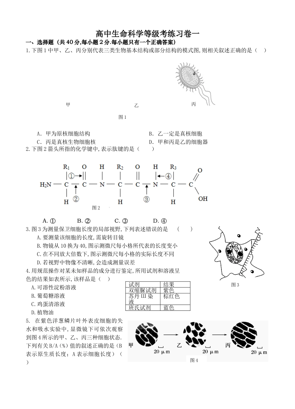 高中生命科学等级考练习卷一_第1页