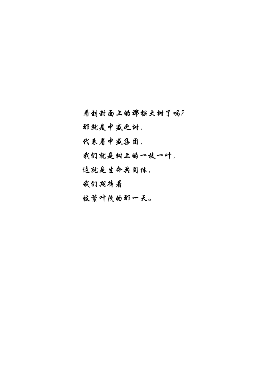 中盛企业文化手册定稿新新(doc)_第2页