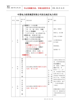 中投电和大唐西北地区项目