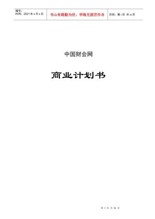 中国某专业网站商业计划书