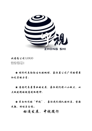中视映像有限责任公司策划书