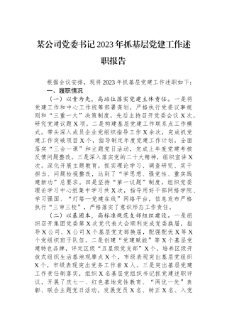 某公司党委书记2023年抓基层党建工作述职报告