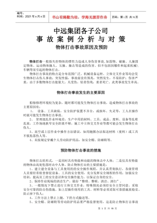 中远集团各子公司事故案例分析与对策