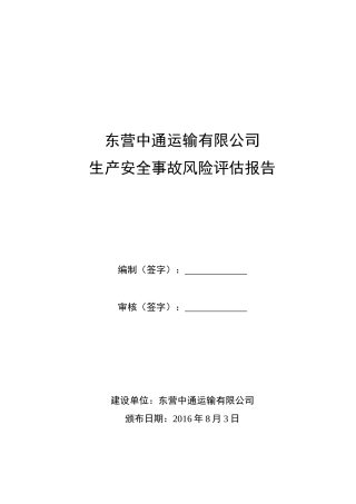 中通安全风险评估报告