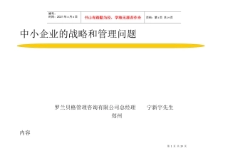 中小企业的战略和管理问题(1)