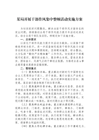 某局开展干部作风集中整顿活动实施方案