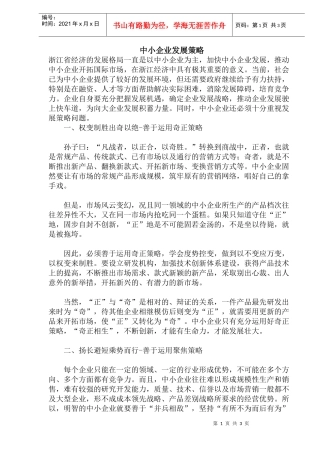 中小企业发展策略