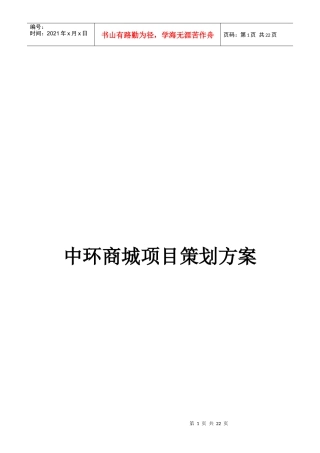 中环商城项目策划方案doc22(1)