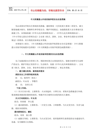 中大附属蓝山外语实验学校安全应急预案