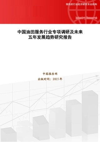 中国油田服务行业专项调研及未来五年发展趋势研究报告