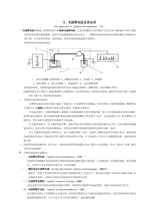 毛细管电泳及其应用知识点梳理汇总
