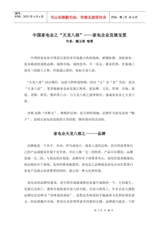 中国家电业企业发展战略--天龙八部