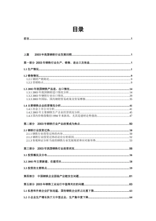 中国钢铁行业年度报告(DOC 90页)