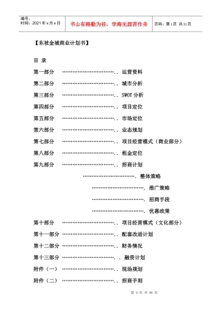 东坡金城商业计划书（DOC 31页）