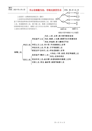 上皮组织(动物体的结构层次1课时)
