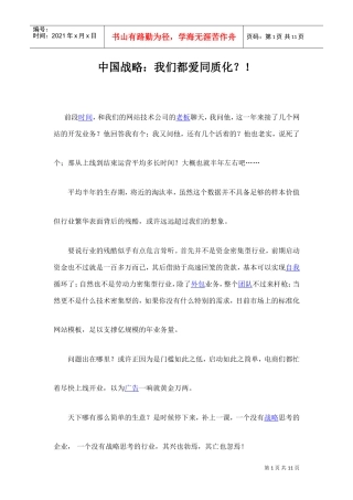 中国B2C战略：我们都爱同质化？！(DOC9页)