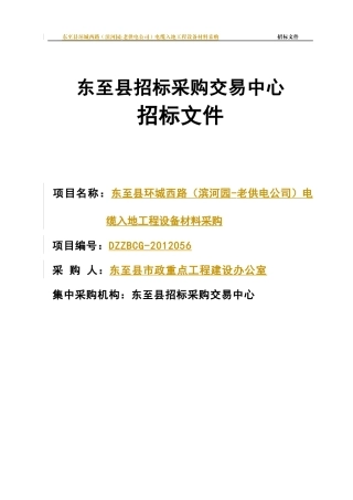 东至电缆入地项目招标文10-30