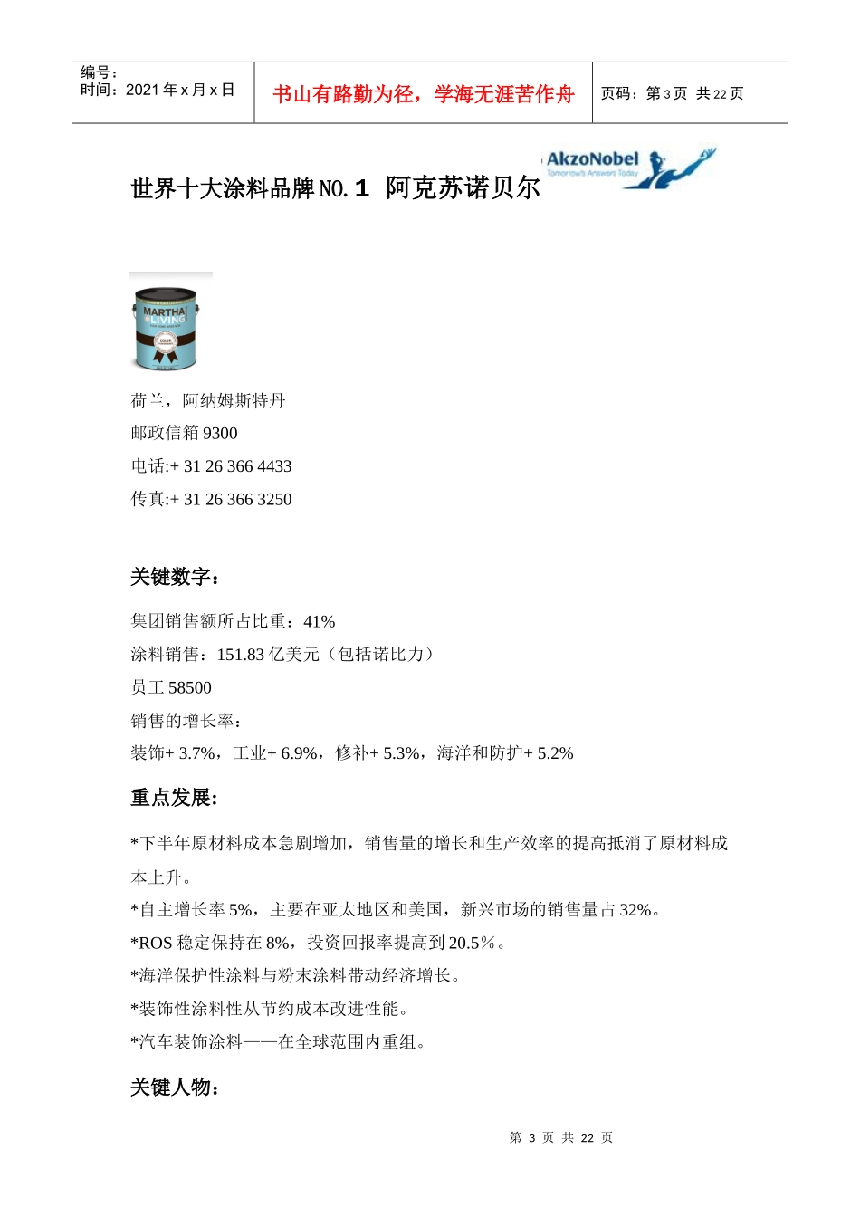 世界十大涂料品牌年度报告(doc 20页)_第3页