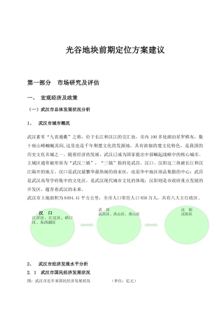 中原—武汉光谷关山二路项目定位报告-91DOC