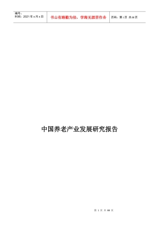 中国养老产业发展研究报告