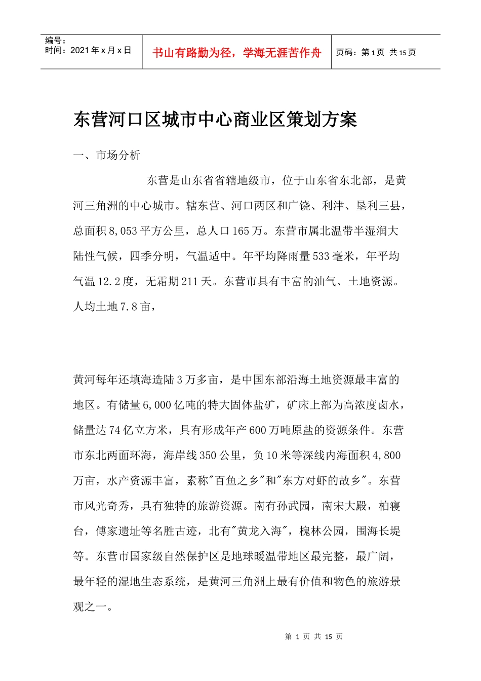 东营河口区城市中心商业区策划方案_第1页