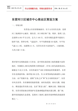 东营河口区城市中心商业区策划方案