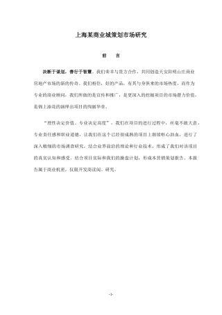 上海某商业城策划市场研究doc35(1)