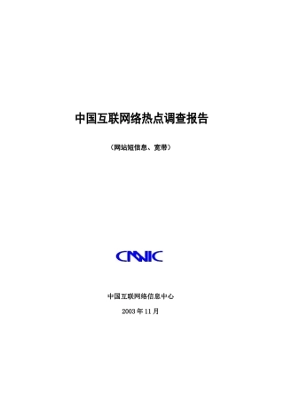 中国互联网络热点调查报告